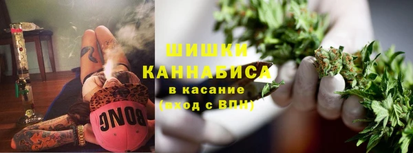прущие грибы Абдулино