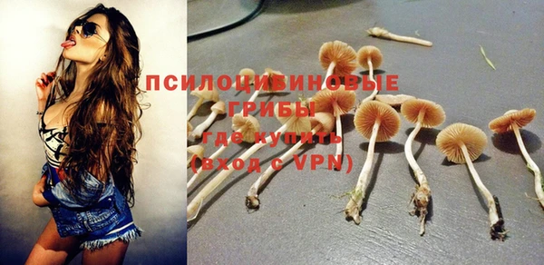 соль ск Абинск