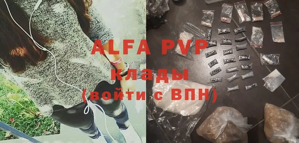 прущие грибы Алексин