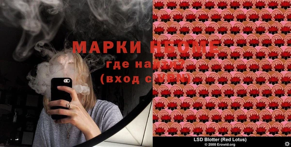 прущие грибы Абдулино