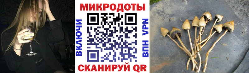 магазин продажи наркотиков  Кировград  Галлюциногенные грибы Psilocybe 